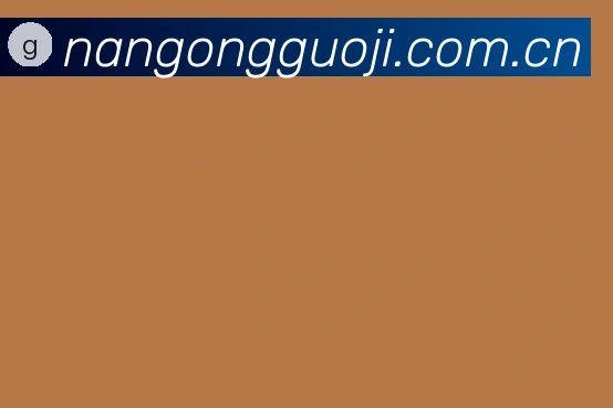关于南宫国际官方网站